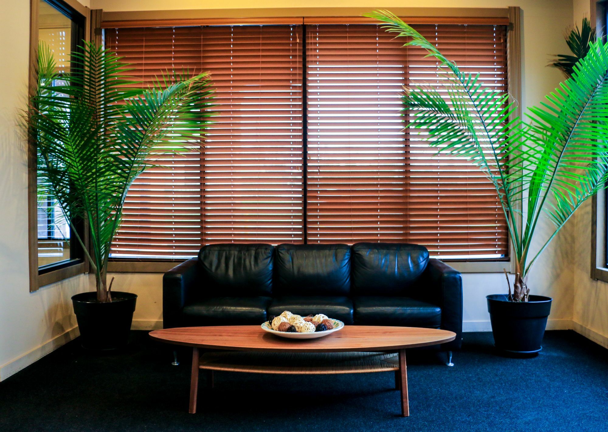 Suite Dreams Hotel Mattoon Dış mekan fotoğraf